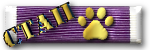 CTA2_ribbon.png