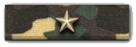 camo2_ribbon.png