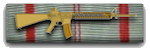 cdsr-ribbon.png