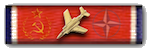 cwwf_ribbon.png