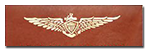 fly_navy.png