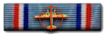 ihwt_ribbon.png