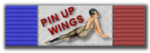 pin_up_2015.png