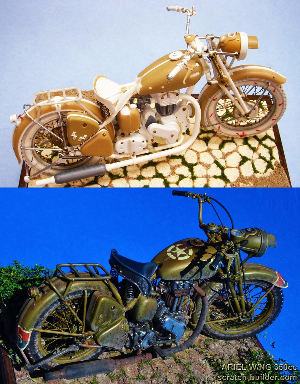 b03~1.jpg